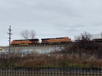 IMG 4210